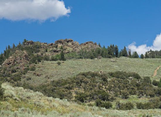 nevada/humboldt-county/attraction/humboldt-national-forest