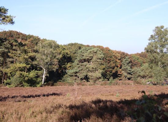 netherlands/sallandse-heuvelrug-national-park/attraction/startpunt-wandelroutes-holterberg