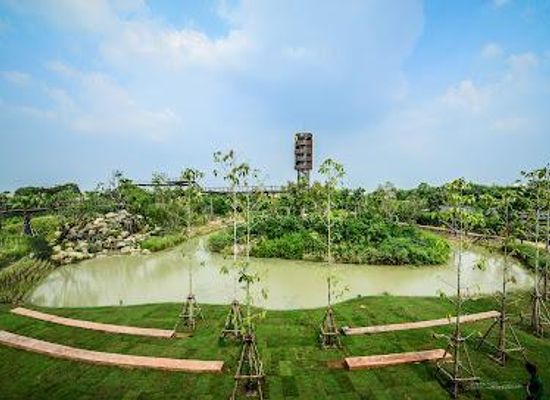 thailand/eastern-thailand/attraction/metro-forest