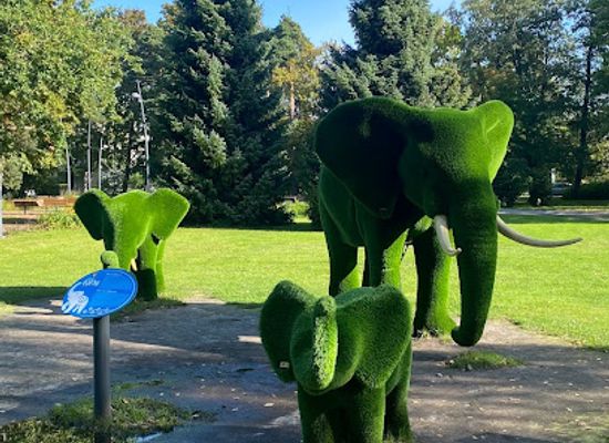 estonia/parnu-beach/attraction/parnu-green-elephants
