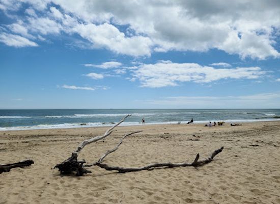 virginia/virginia-beach/sandbridge-beach/attraction/back-bay-national-wildlife-refuge