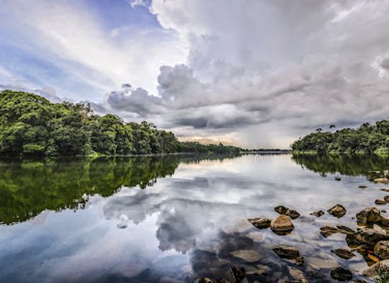 singapore/ang-mo-kio/attraction/lower-pierce-reservoir-viewpoint