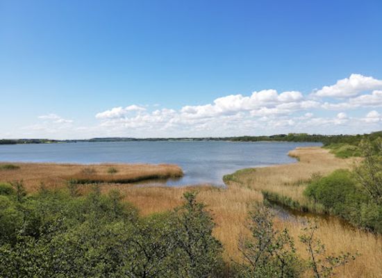 germany/baltic-sea-coast/attraction/hermann-lons-blick