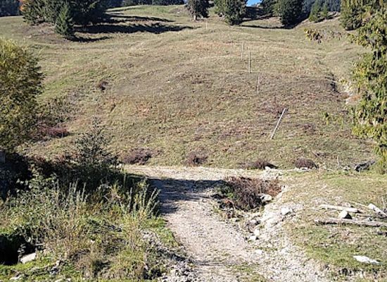 romania/ceahlau-national-park/attraction/livada-tomii