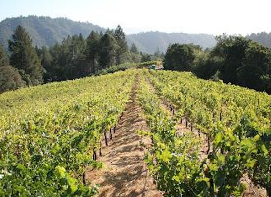 california/wine-country/attraction/meadowcroft-wines