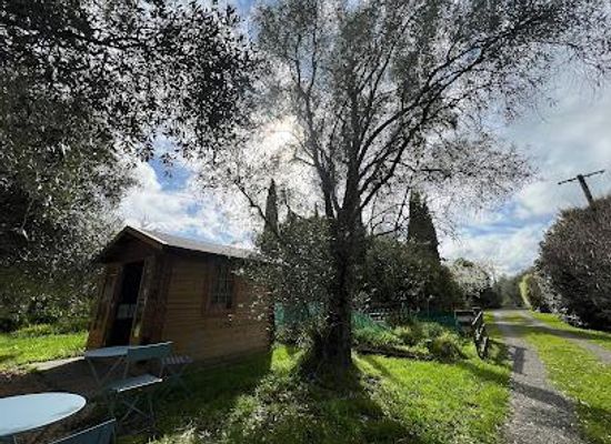 new-zealand/manawatu-wanganui/attraction/b-wine