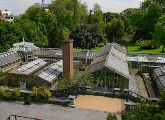 belgium/liege/attraction/botanical-greenhouse