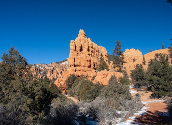 utah/canyonlands/attraction/dixie-national-forest