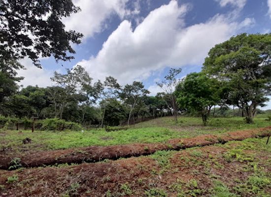 nicaragua/apoyo-lagoon/attraction/finca-buena-vista