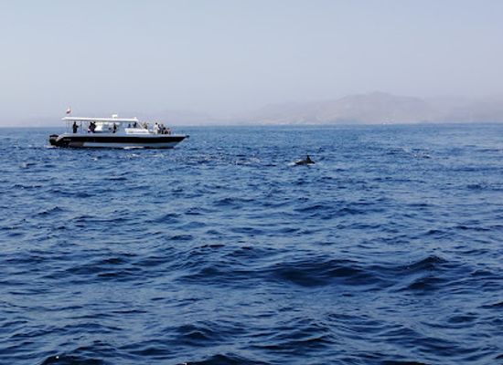 oman/wahiba-sands/attraction/oman-sea-tours-and-events