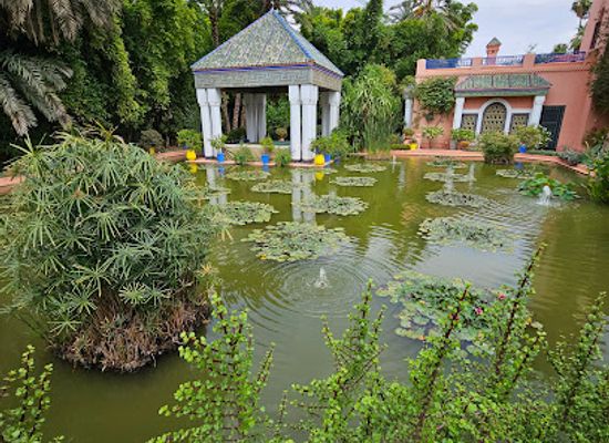 morocco/moulouya/attraction/jardin-majorelle