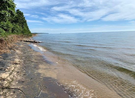 michigan/holland/attraction/saugatuck-dunes-state-park