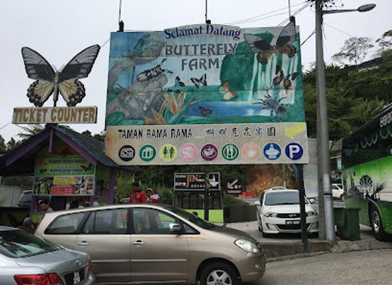 malaysia/kelantan/attraction/cameron-highland-butterfly-farm