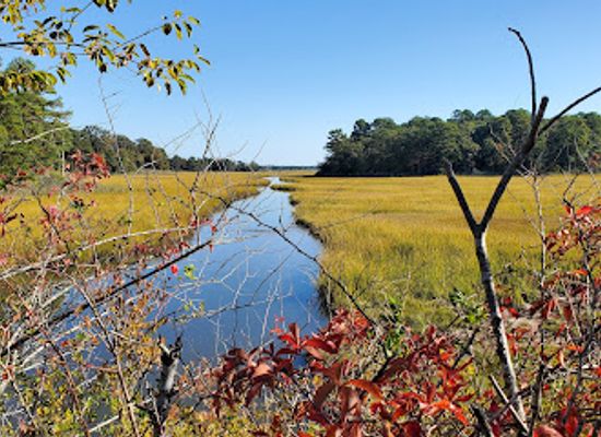 delaware/cape-henlopen-state-park/attraction/junction-and-breakwater-trail
