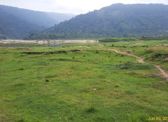 bangladesh/jaflong/attraction/shreepur-tea-garden