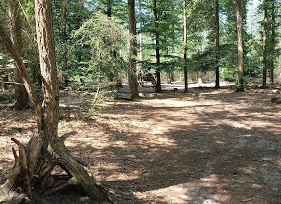 netherlands/sallandse-heuvelrug-national-park/attraction/cabiner-nationaal-park-sallandse-heuvelrug-p1