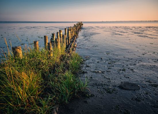 denmark/wadden-sea-national-park/attraction/romodamningen