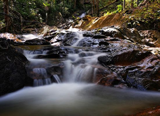 malaysia/negeri-sembilan/attraction/lenggeng-forest-reserve