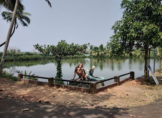 india/kerala-backwaters/attraction/aqua-tourism-by-matsyafed