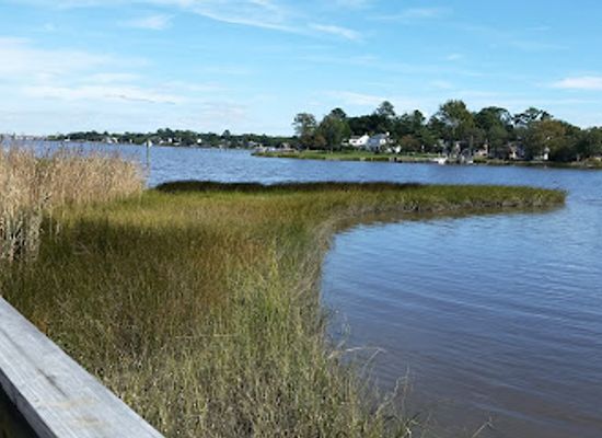 virginia/great-dismal-swamp-national-wildlife-refuge/attraction/portsmouth-city-park