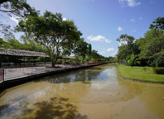guyana/demerara-mahaica/attraction/hyde-park-zoo-real