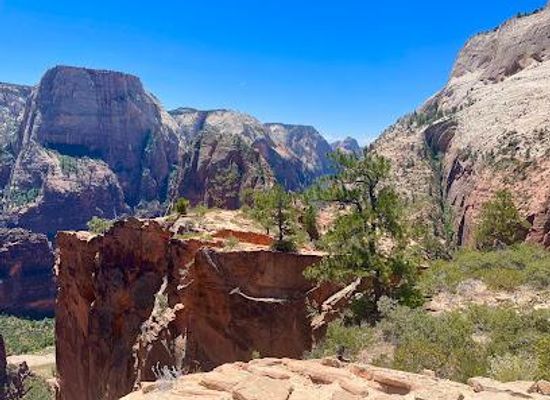 utah/zion-national-park/attraction/w-rim-trail