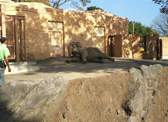 japan/hitachi/attraction/kamine-zoo