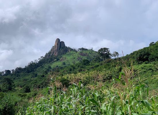 cote-d-ivoire/woroba/attraction/la-dent-de-man