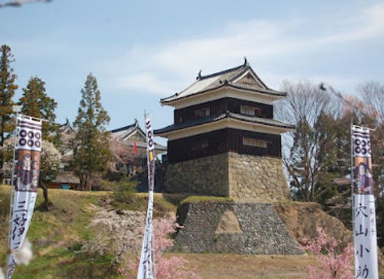 japan/satsuma/attraction/uedajo-castle-ruins