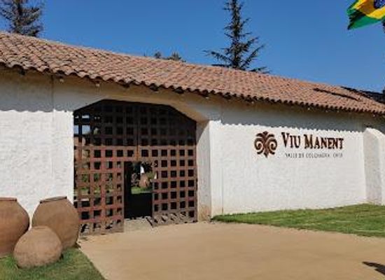chile/curico/attraction/vina-viu-manent