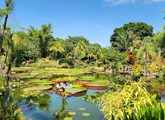 bolivia/pantanal/attraction/la-rinconada-ecoparque-y-restaurante
