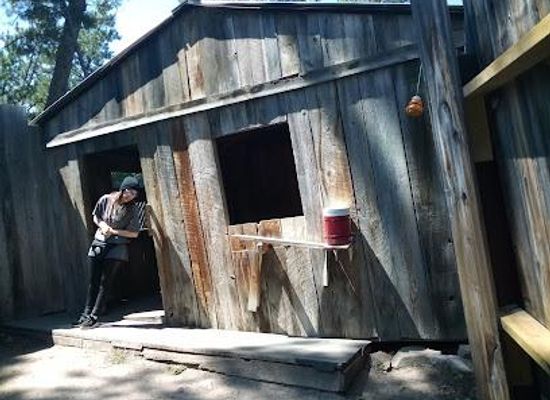 south-dakota/custer-state-park/attraction/cosmos-mystery-area