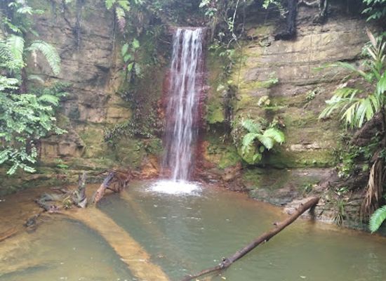 brunei/lamunin/attraction/bukit-silat-trail