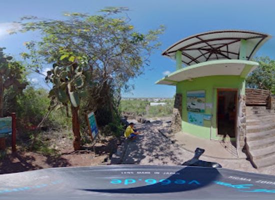 ecuador/northwest-coast/attraction/tortuga-bay-beach