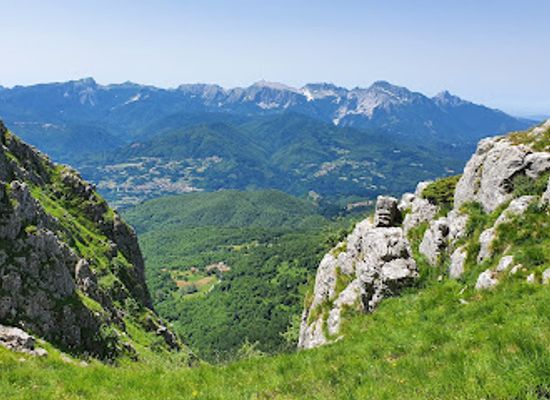 italy/garfagnana/attraction/giardino-botanico-maria-ansaldi-pania-di-corfino