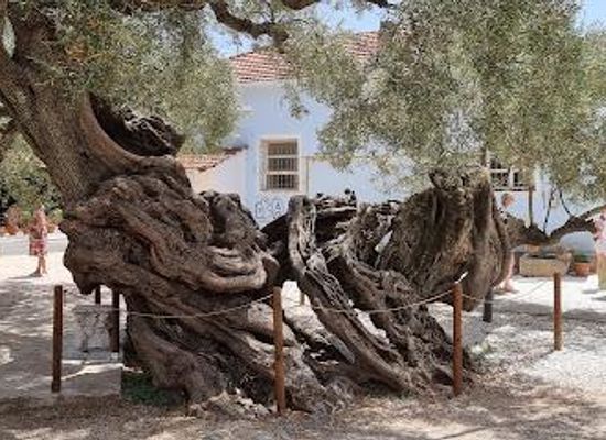 greece/zakynthos/attraction/pomnik