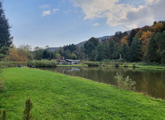 slovenia/drava/attraction/naravni-rezervat-mokrisce-radvanje