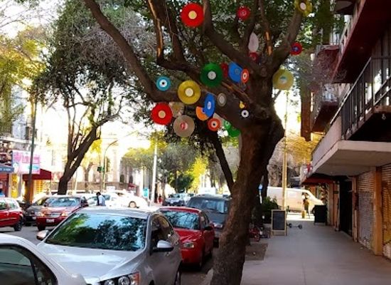 mexico/mexico-city/roma/attraction/arbol-de-discos