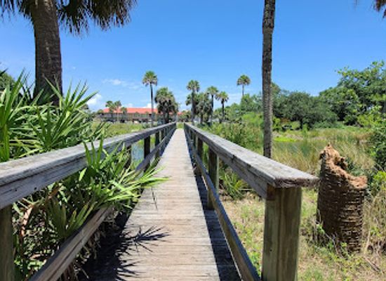 florida/space-coast/attraction/maritime-hammock-preserve