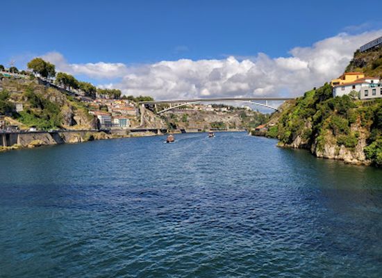portugal/minho/attraction/gaia-porto