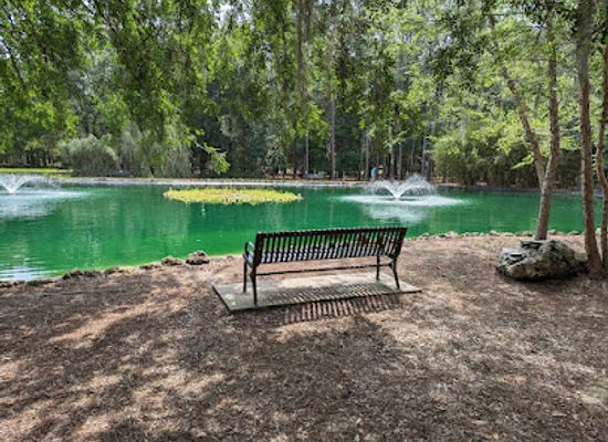 florida/juniper-springs-recreation-area/attraction/sholom-park