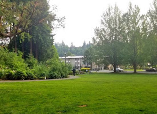 washington/bellevue/attraction/wildwood-park