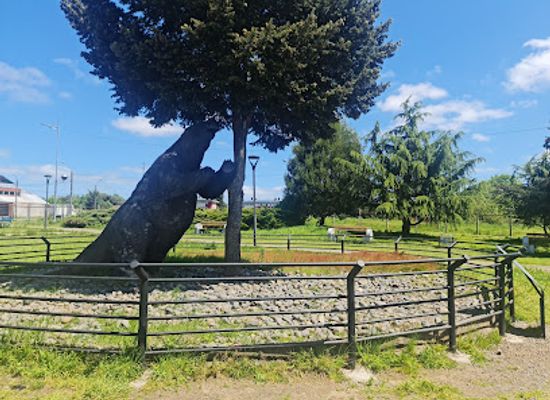 chile/osorno/attraction/parque-pleistocenico-chuyaca