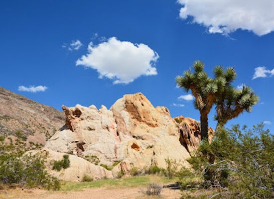 nevada/sierra-nevada/attraction/gold-butte-national-monument