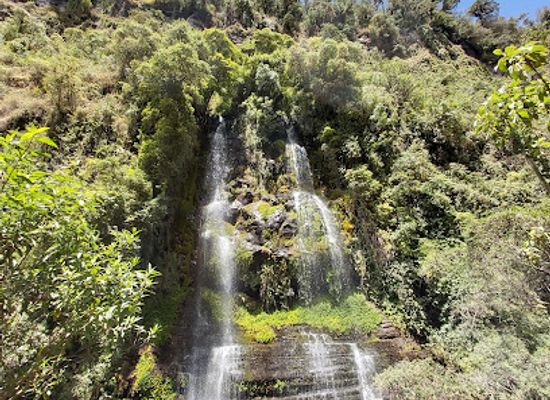 ecuador/napo-region/attraction/pasochoa-wildlife-refuge