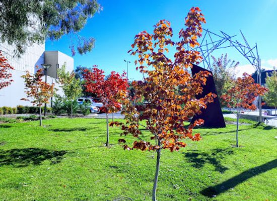 australia/central-west/attraction/orange-regional-gallery