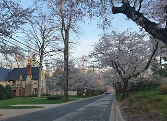 maryland/bethesda/attraction/little-falls-stream-valley-park