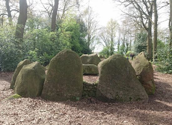 netherlands/drenthe/attraction/d43
