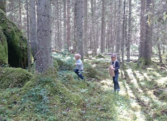 sweden/orebro/attraction/mantorpsskogen