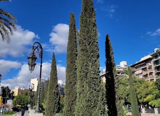 spain/palma-de-mallorca/santa-catalina/attraction/parc-de-sa-feixina